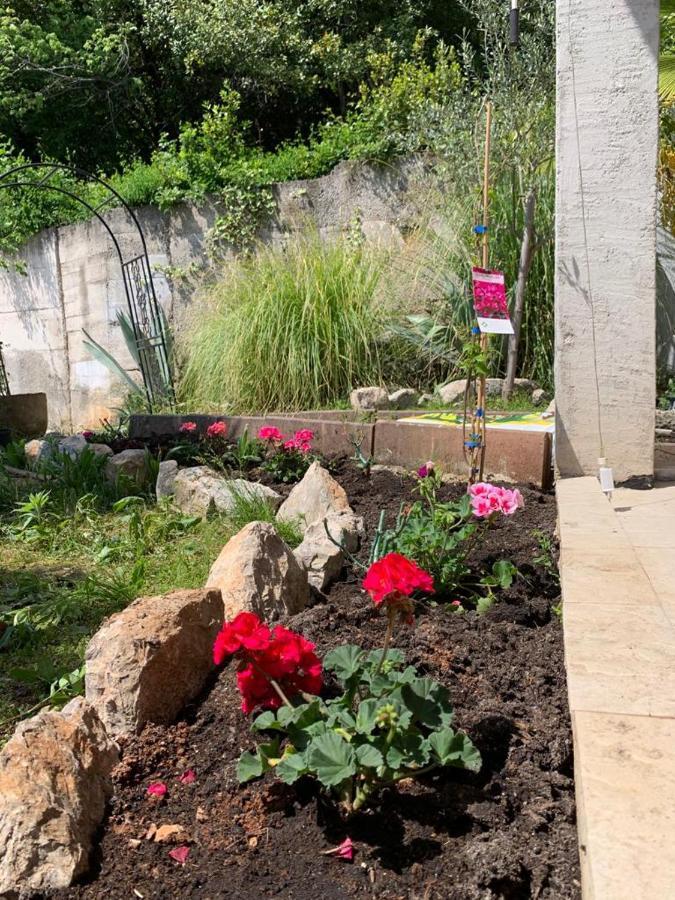 Villa Mihaela Ičići エクステリア 写真