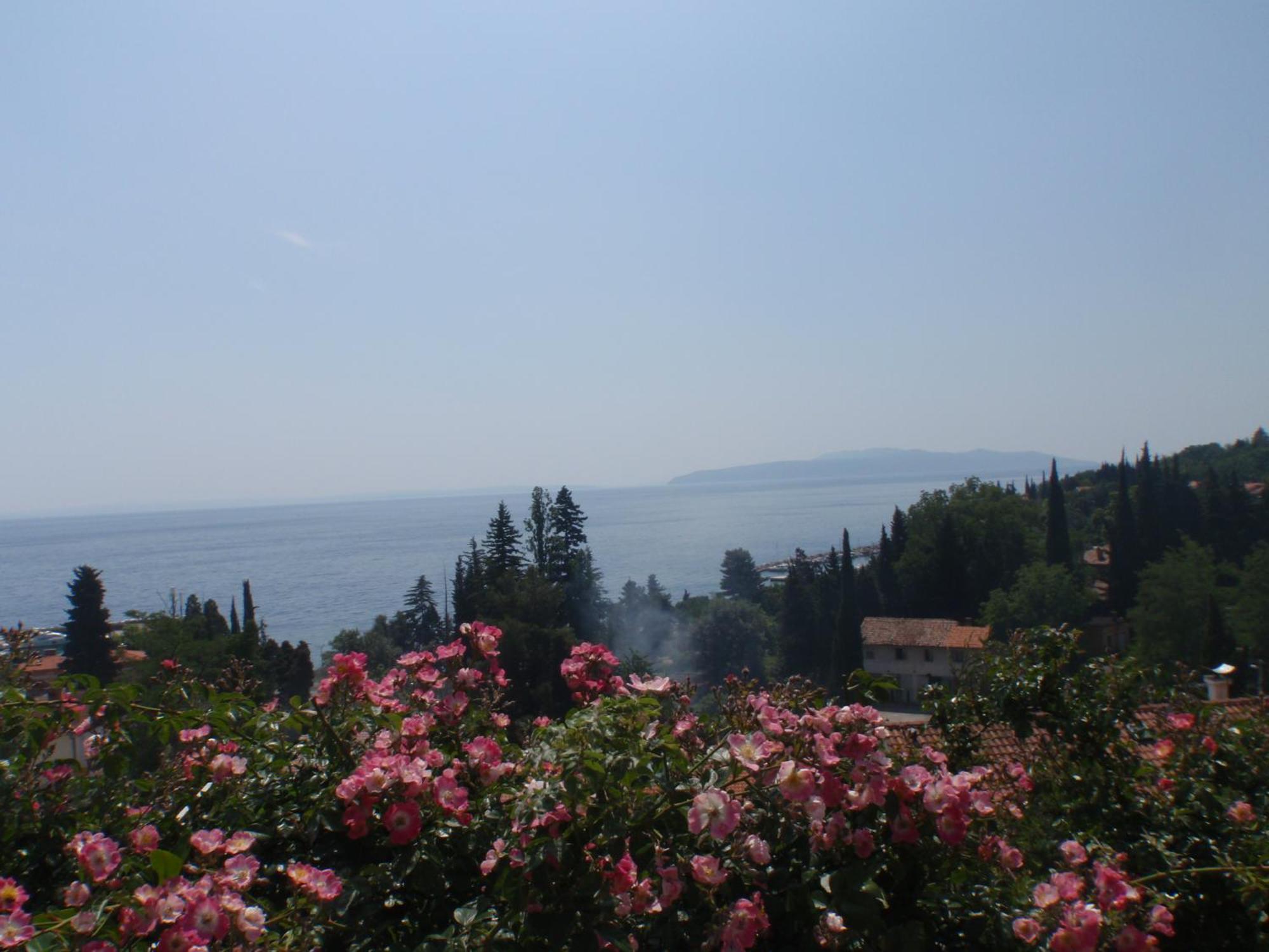Villa Mihaela Ičići エクステリア 写真