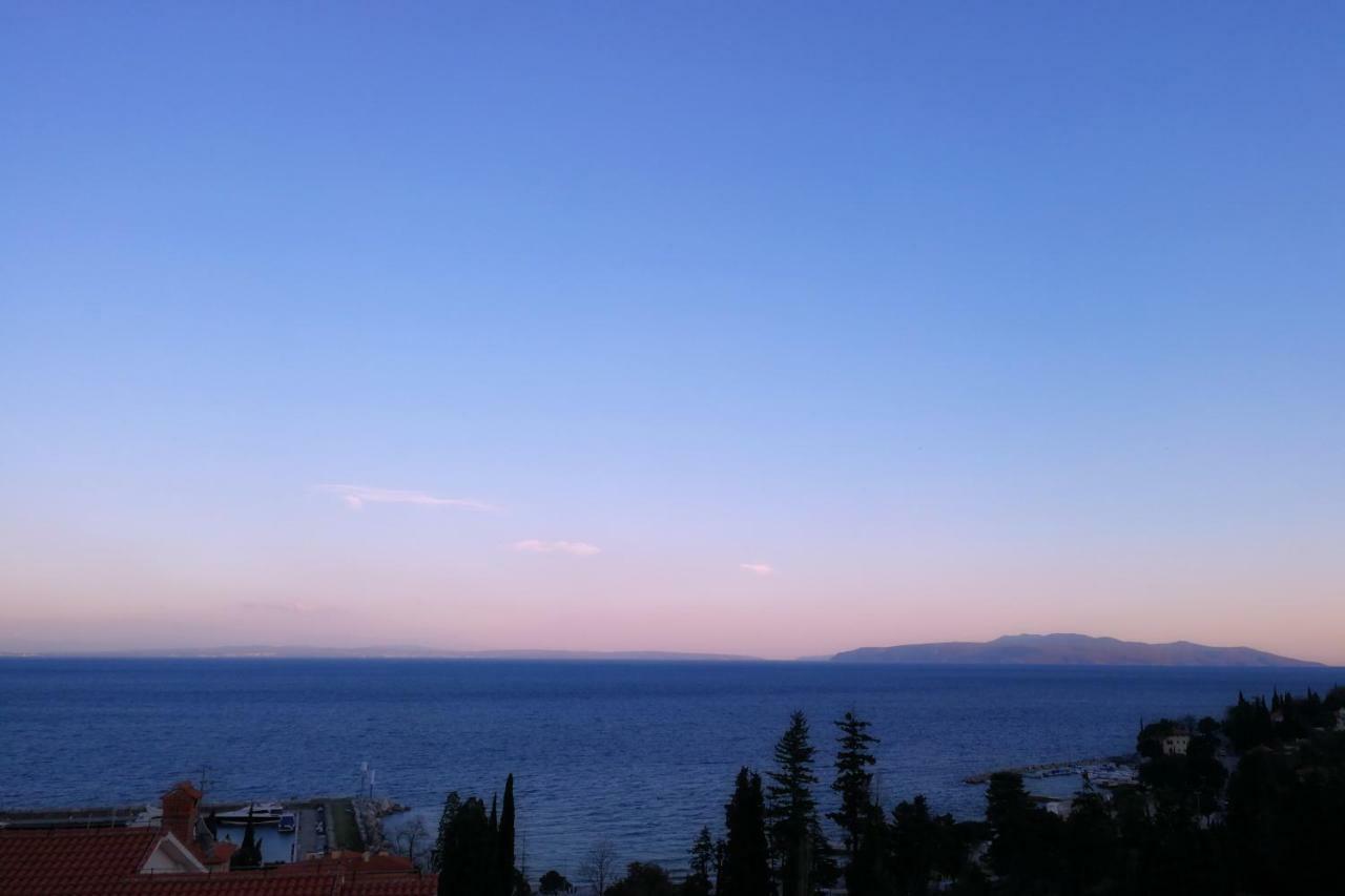 Villa Mihaela Ičići エクステリア 写真